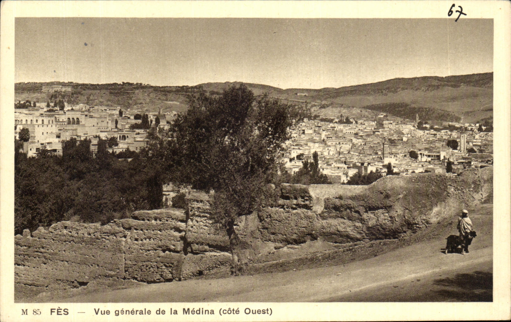CPA Fez Vue generale de la Medina