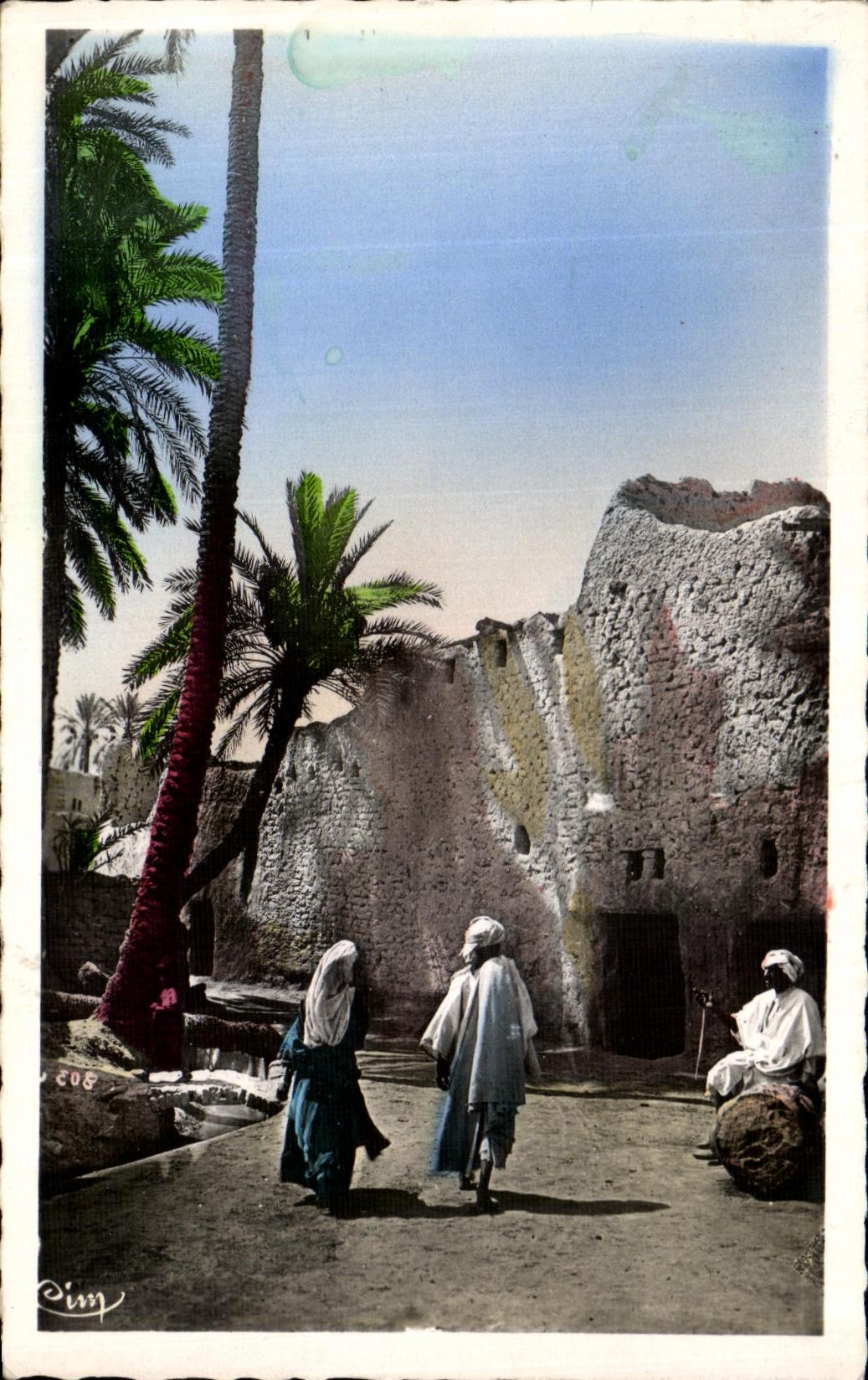 CPA L Afrique Un Paysage du sud 