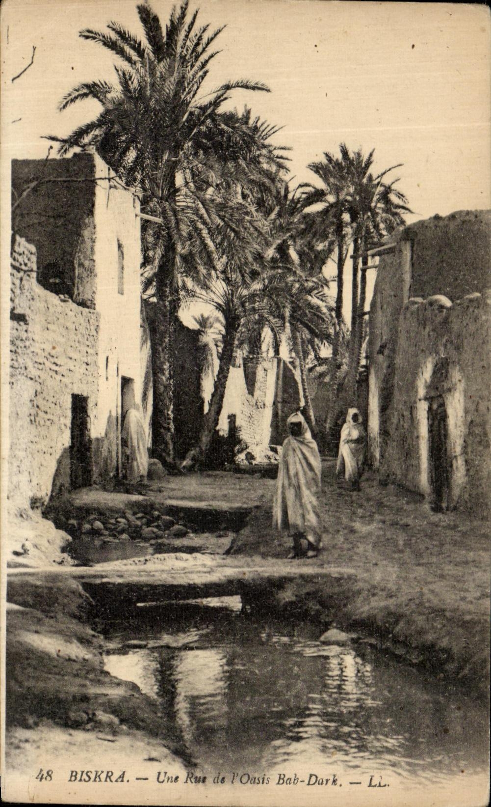 CPA Biskra Une rue de l Oasis Bab Dark