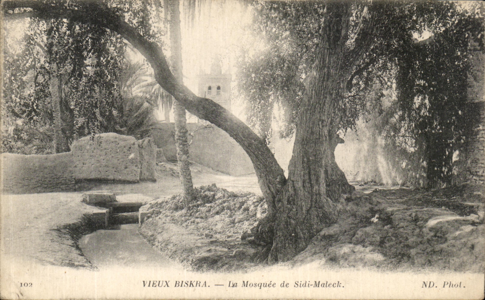 CPA Vieux Biskra La Mosque de sidii Maleck