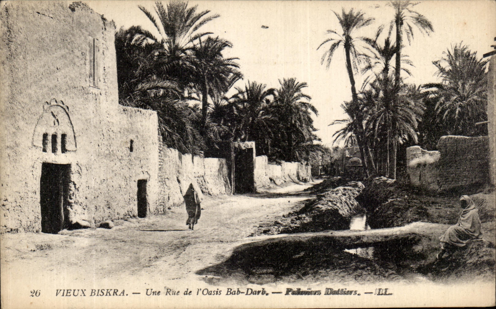 CPA Vieux Biskra Une rue de Bab Dark Palmiers dattiers