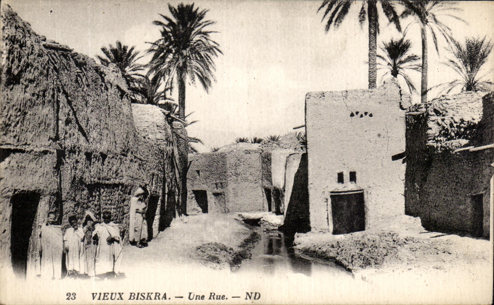 POSTAL Biskra de la VENDIMIA una calle