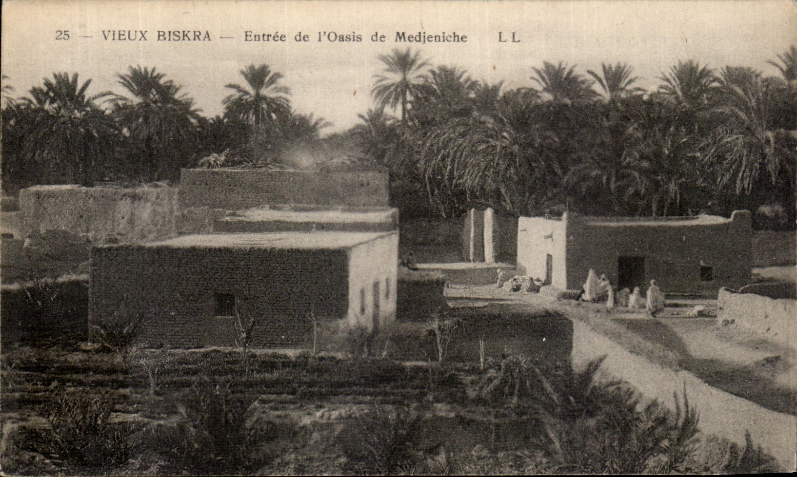 CPA Biskra Entree de l Oasis de Medjeniche