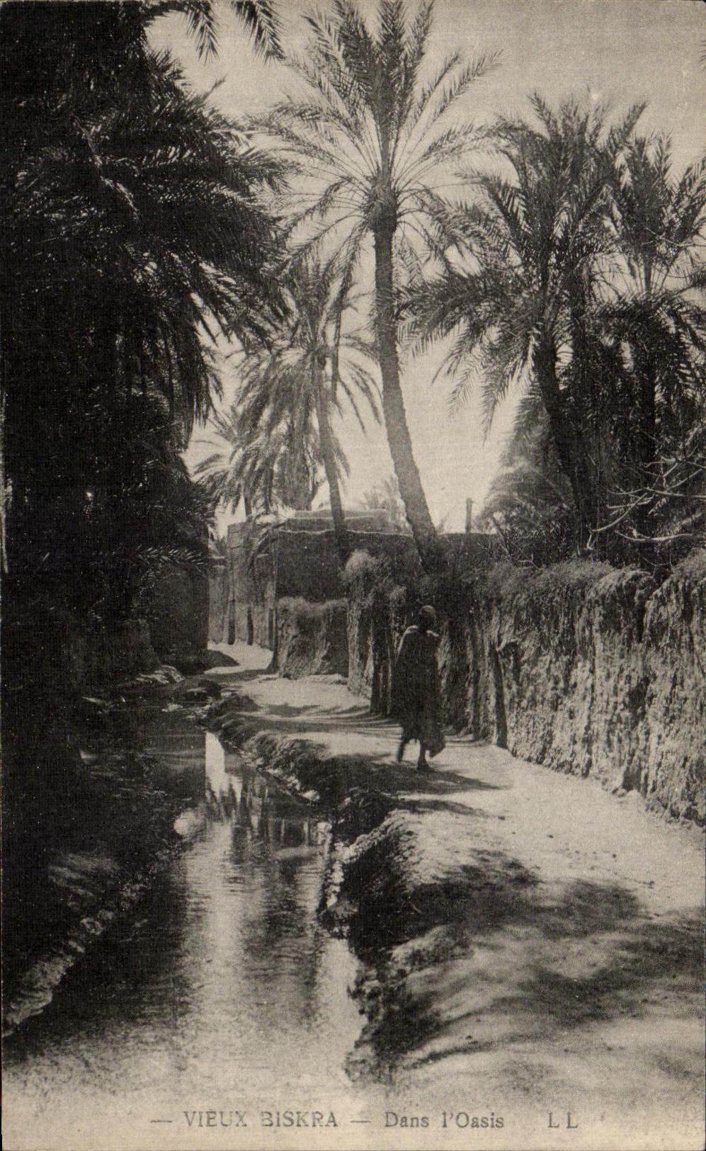 CPA Biskra Dans l Oasis