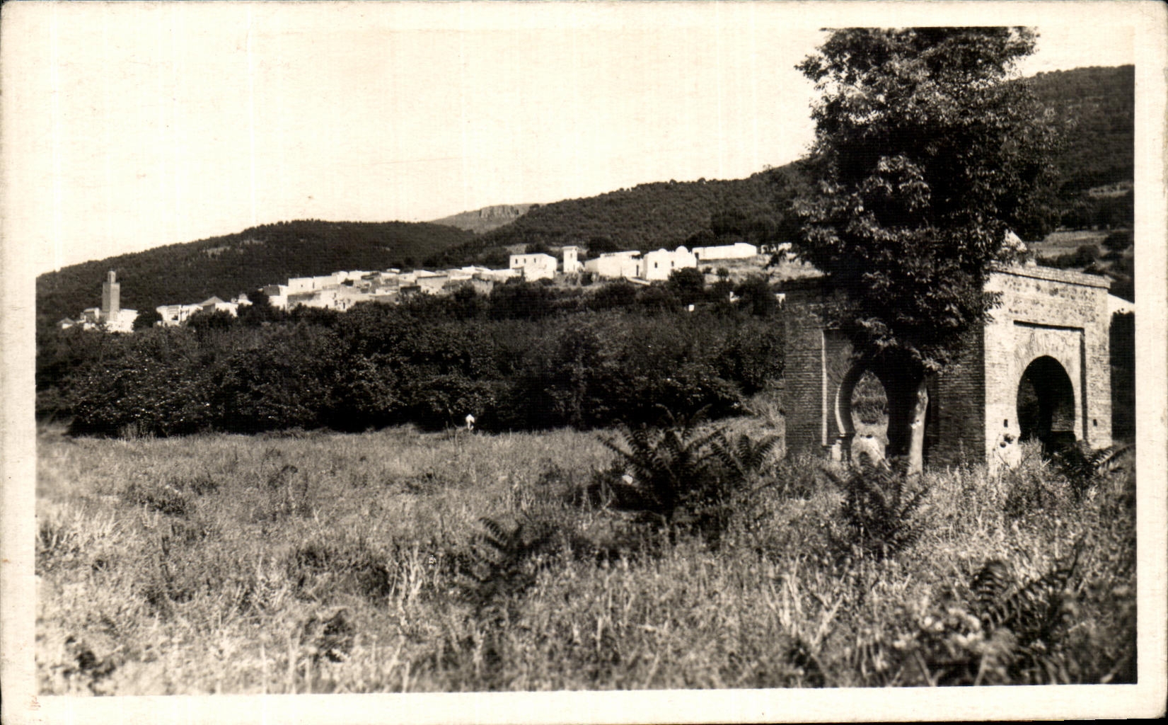 CPA Tlemcen Vue generale de Sidi Boumedine