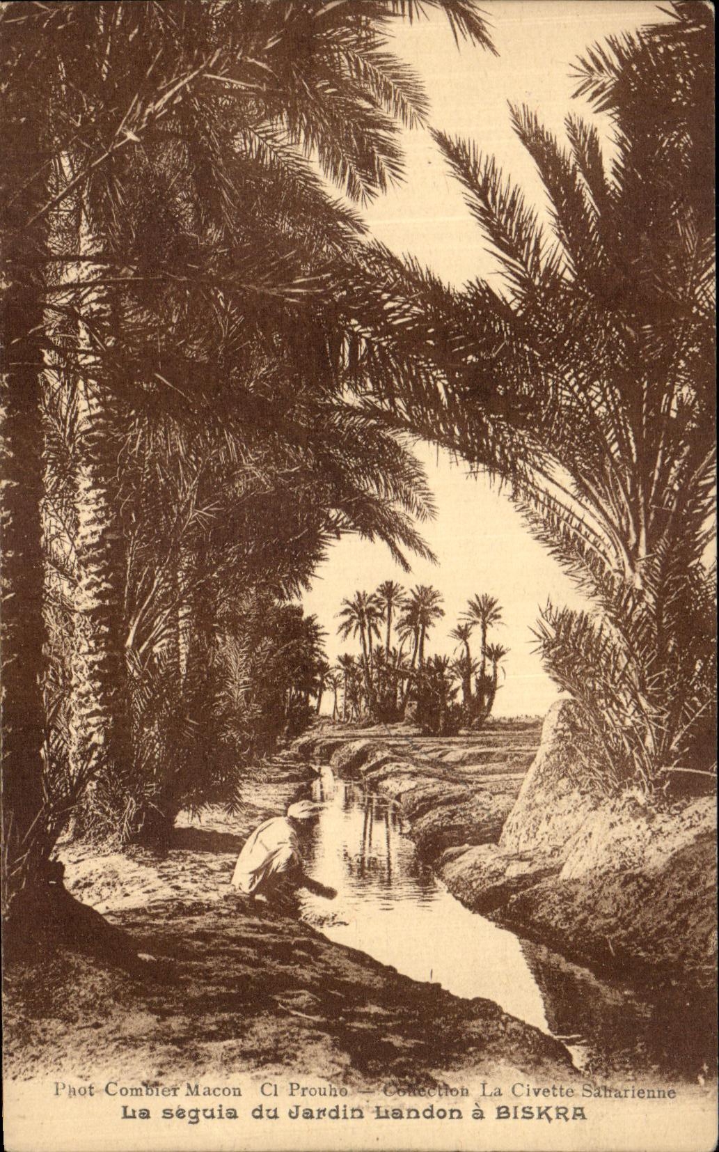 CPA La Seguia du jardin Landon a Biskra 