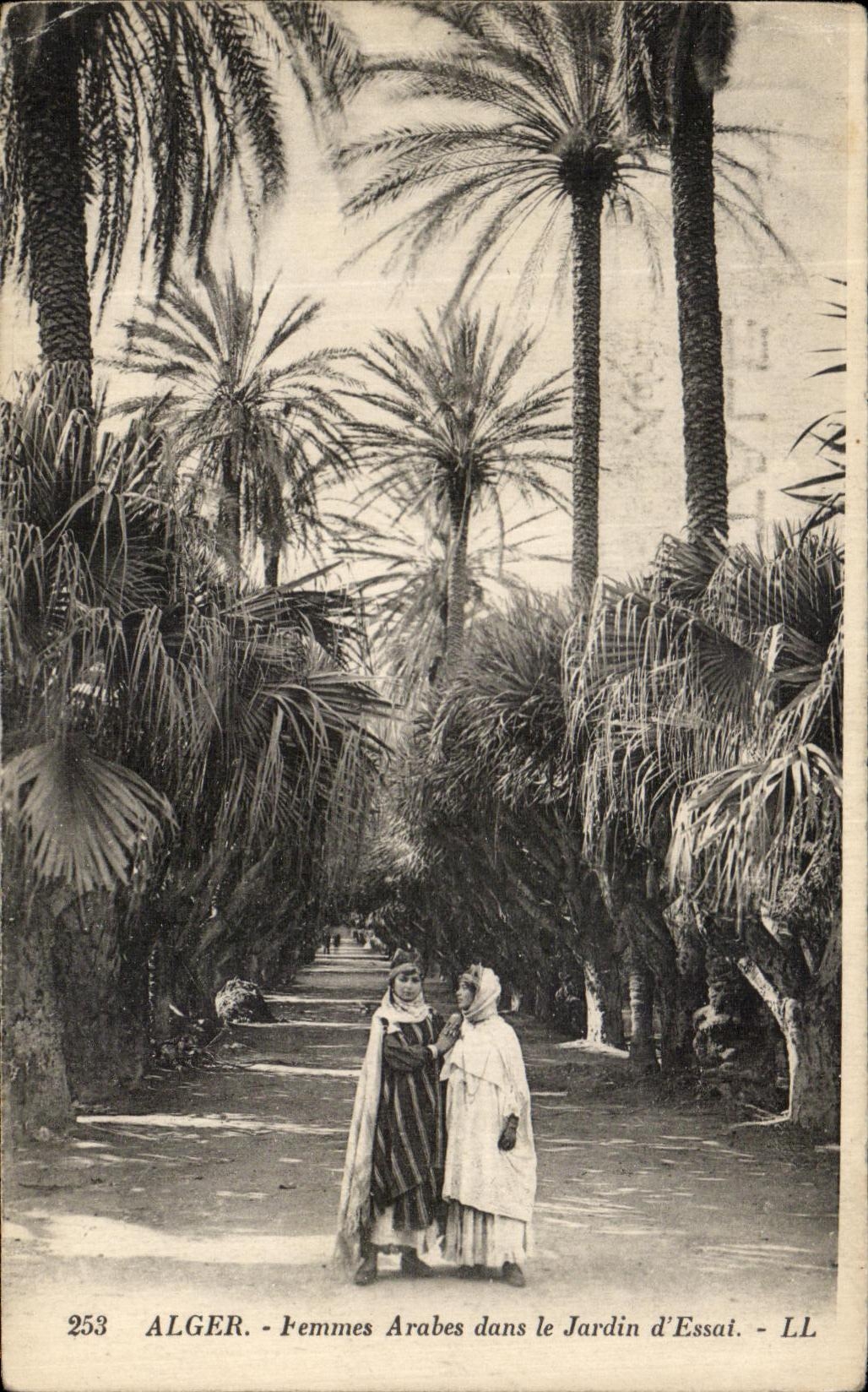 CPA Alger Femmes Arabes dans le jardin d Essal 