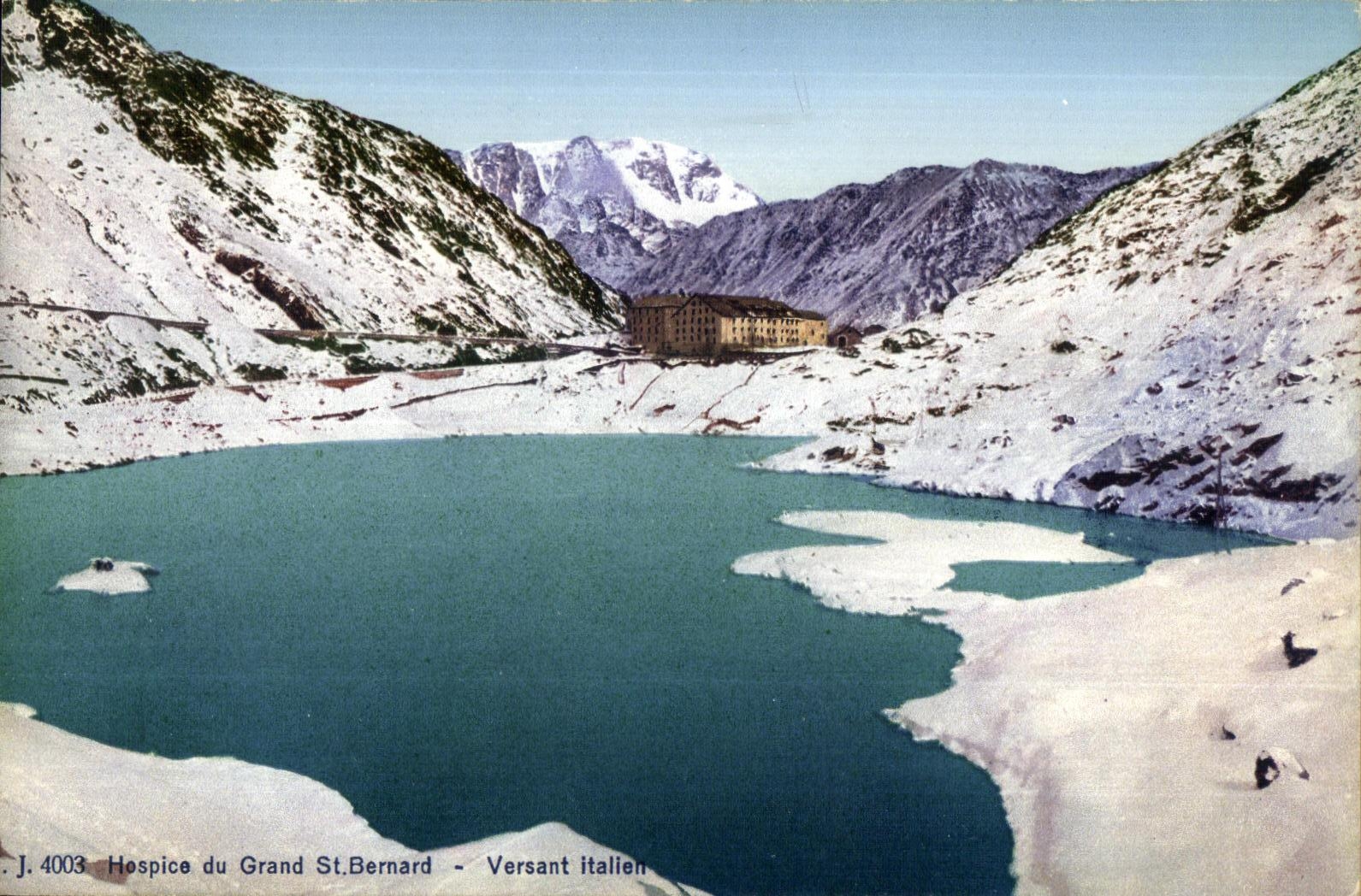 Hogar de vieja gente de la POSTAL de la VENDIMIA del italiano de colada grande Bernard del St