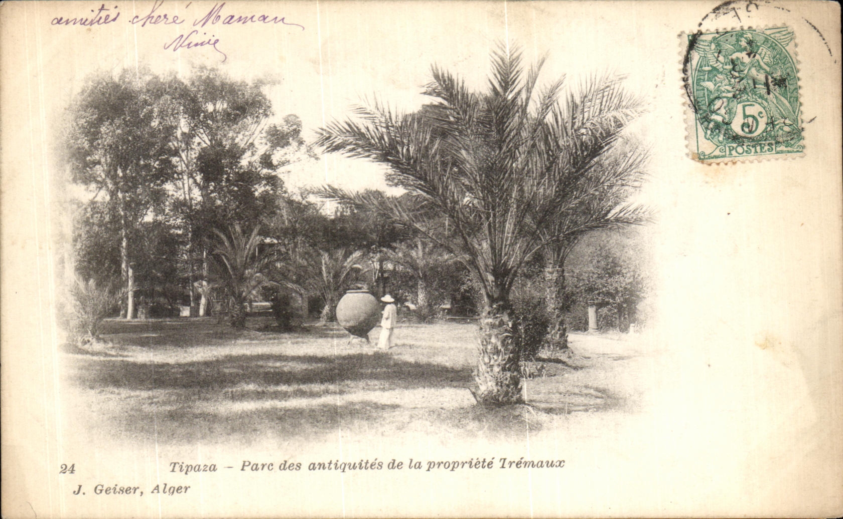 VINTAGE POSTCARD Tipaza Para of the antique of the Property Tremaux Algeria