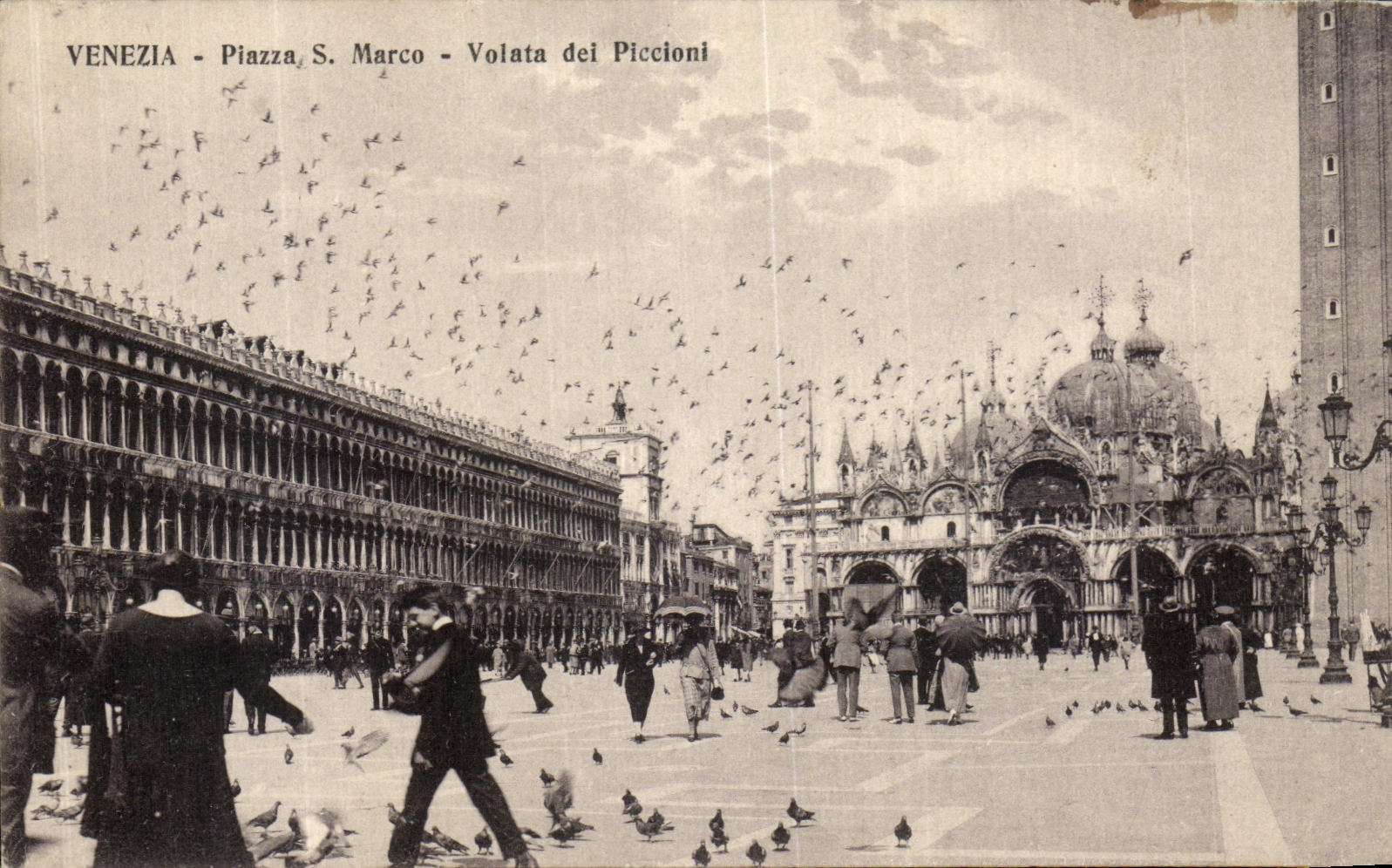 VINTAGE POSTCARD Venezia Piazza S Marco Volata Dei Piccioni
