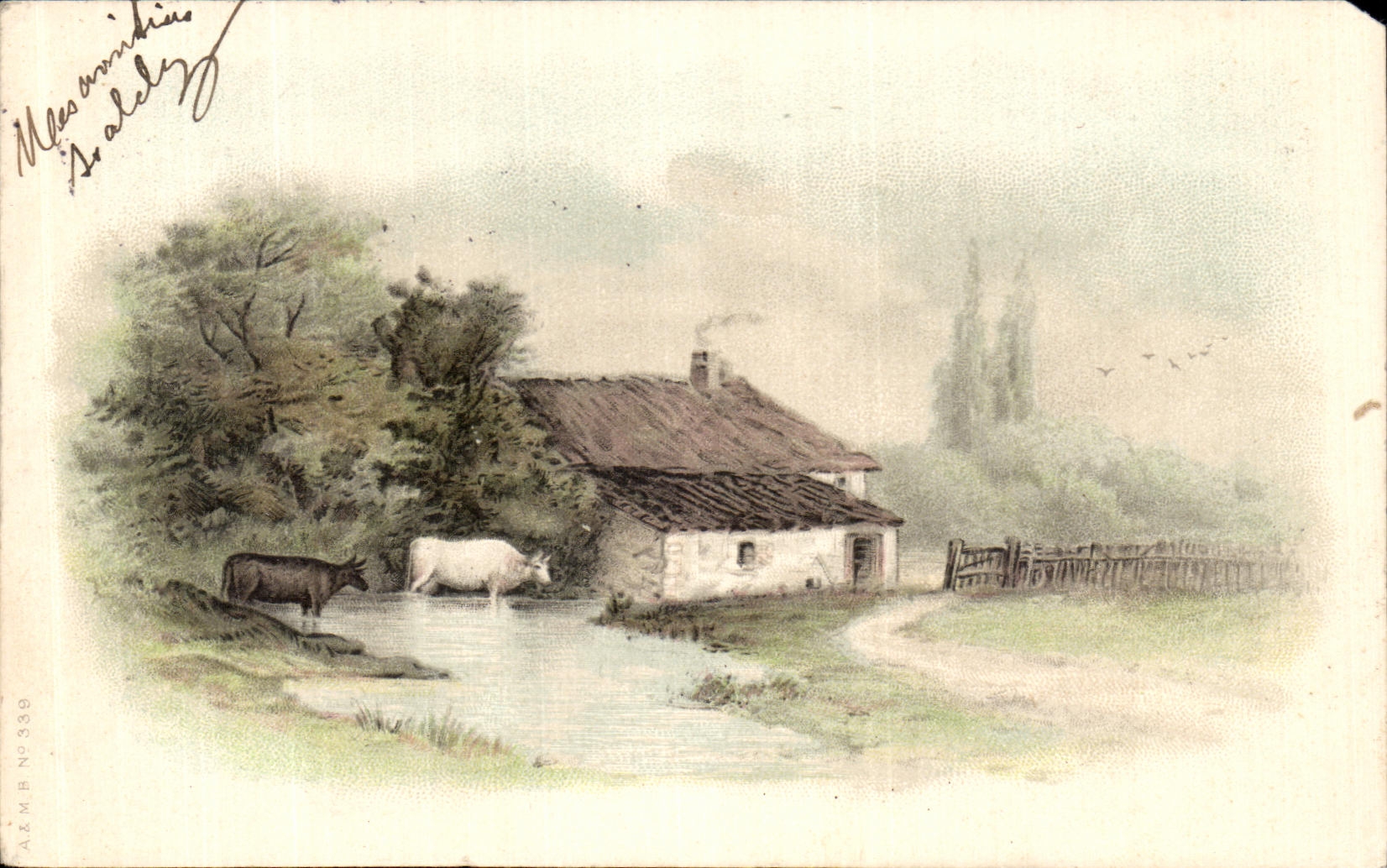CPA paysage Vaches