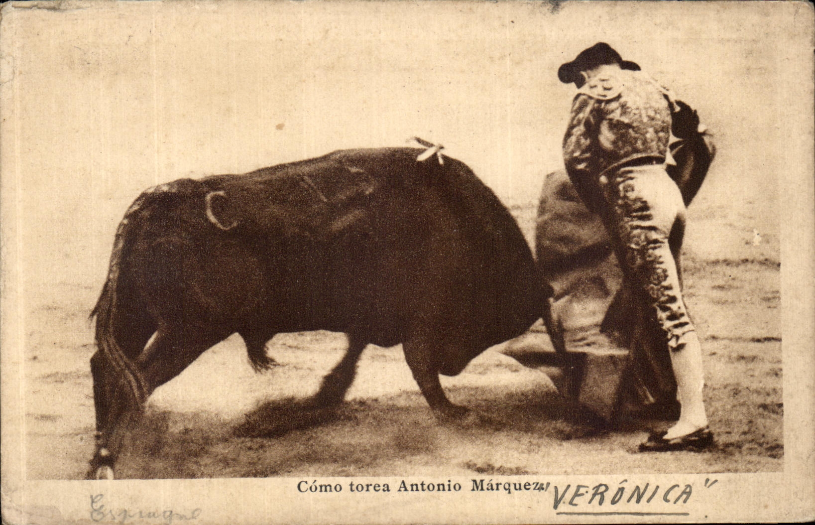 La POSTAL de la VENDIMIA tiene gusto de la corrida Bull del Veronica de Antonio Marqueza del torea