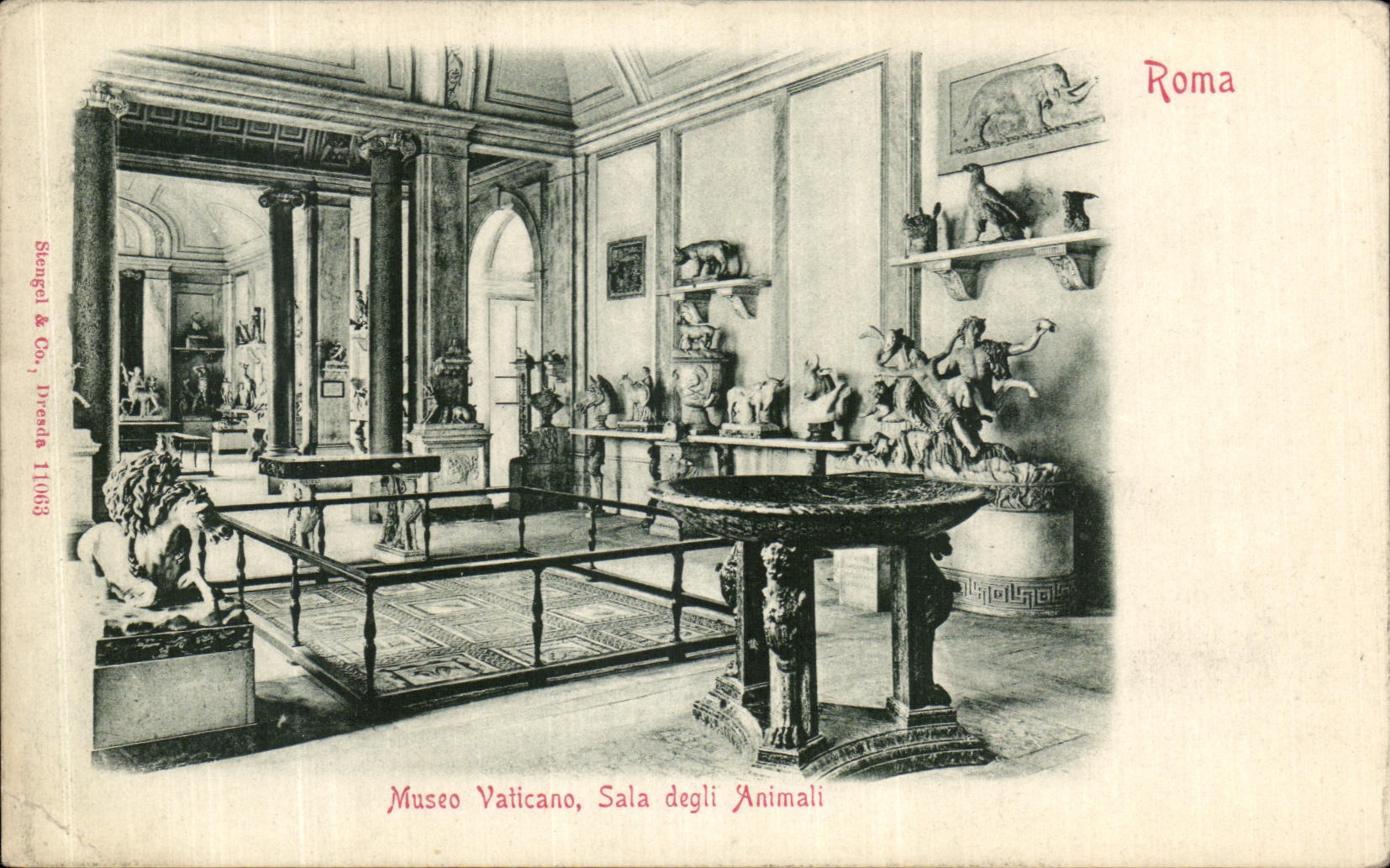 CPA Museo Vaticano Sala degli Animali Roma