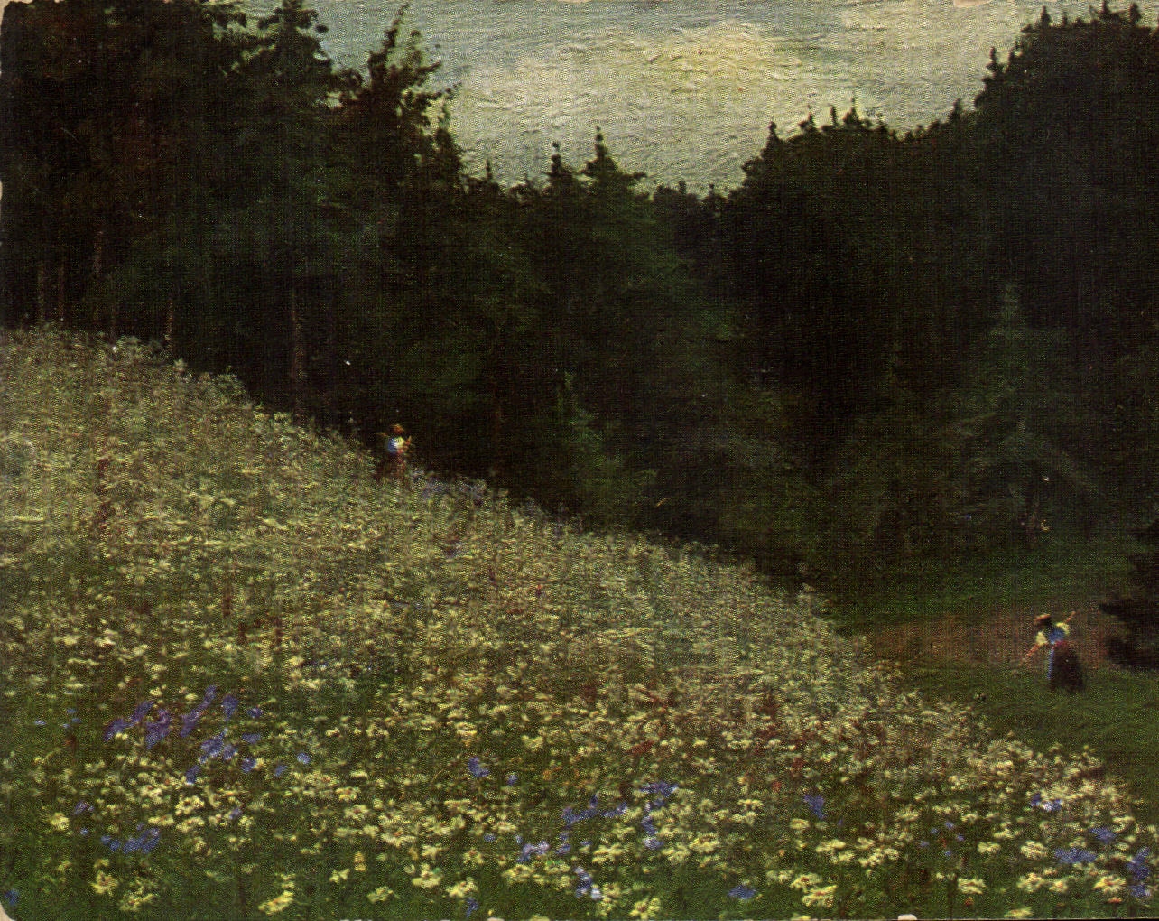 CPA Paysage dans la montagne