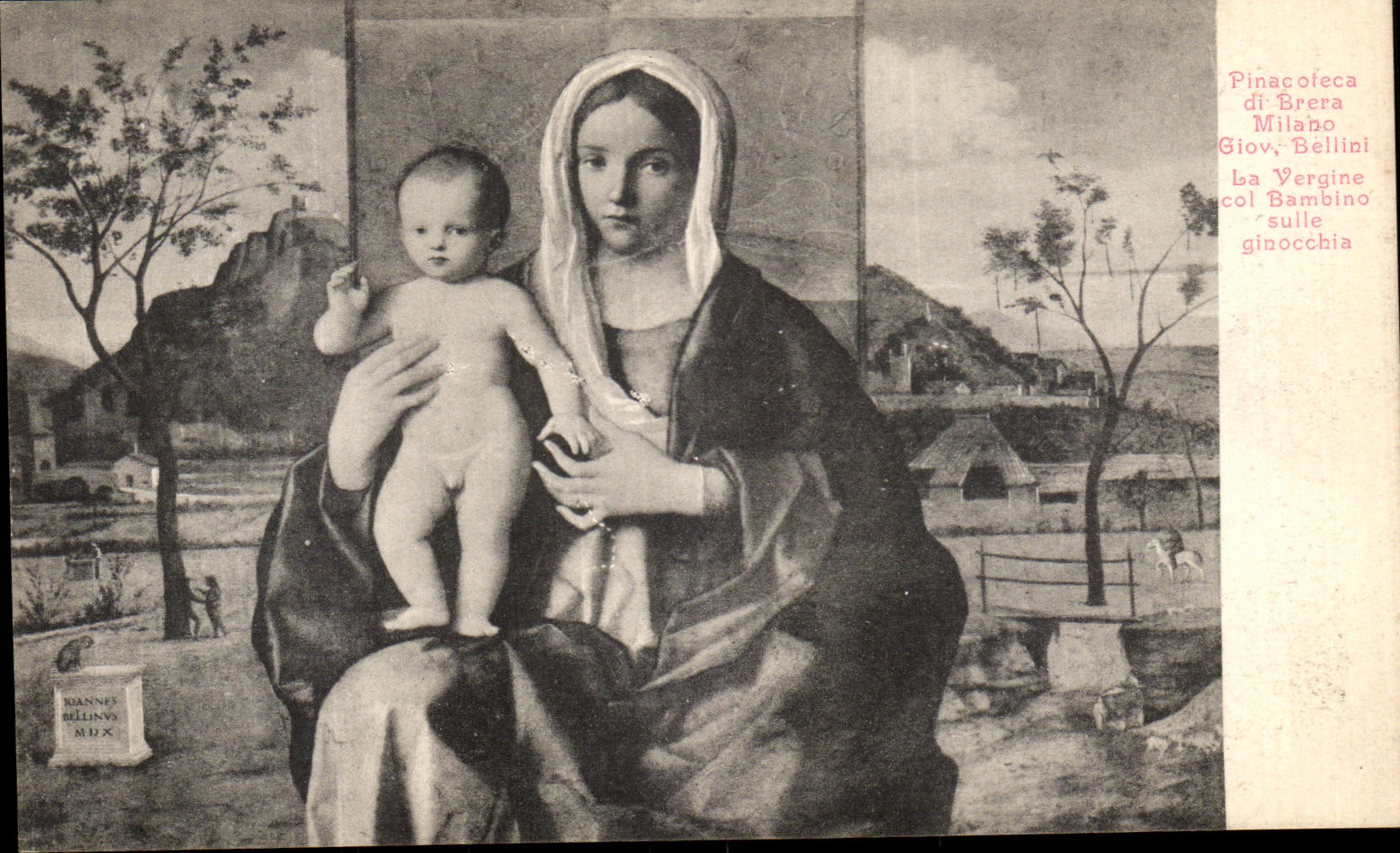 VINTAGE POSTCARD Pinacoteco di Brera Milano