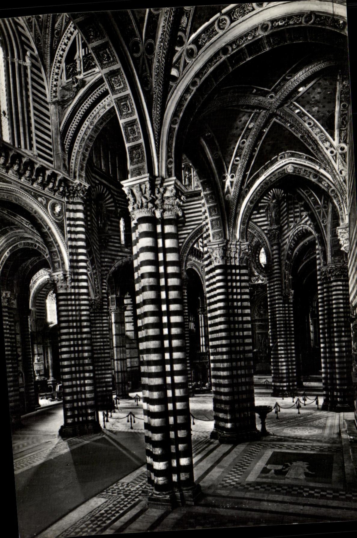 MODERN CARD Siena Cattedrale L Interno Visto paved Navatta