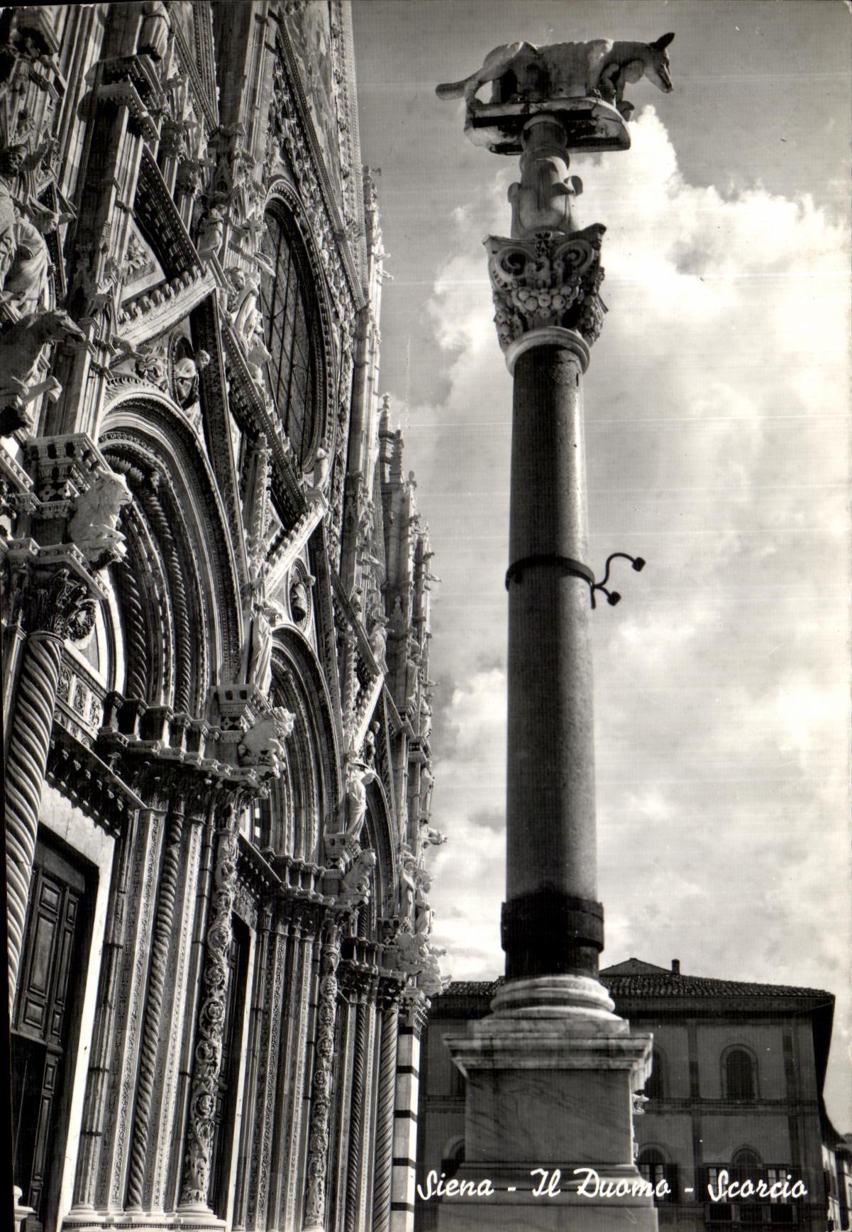 MODERN CARD Siena Duorma Sarenio