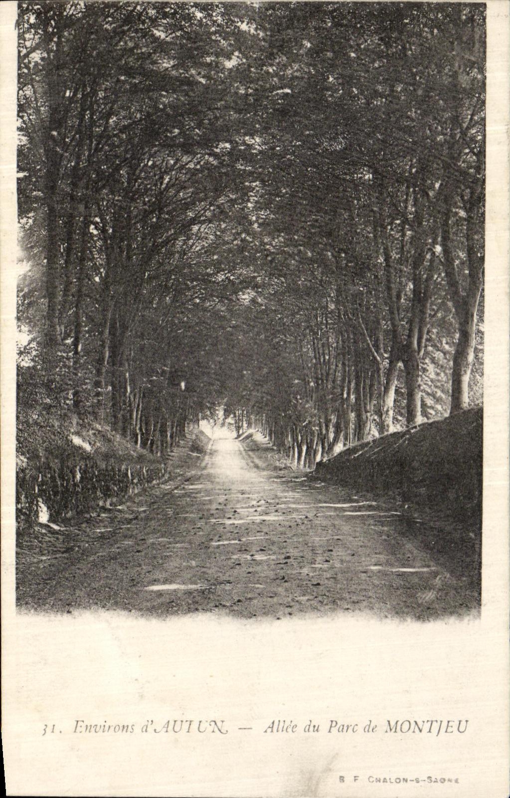 CPA Environs d Autun Allee du parc de Montjeu