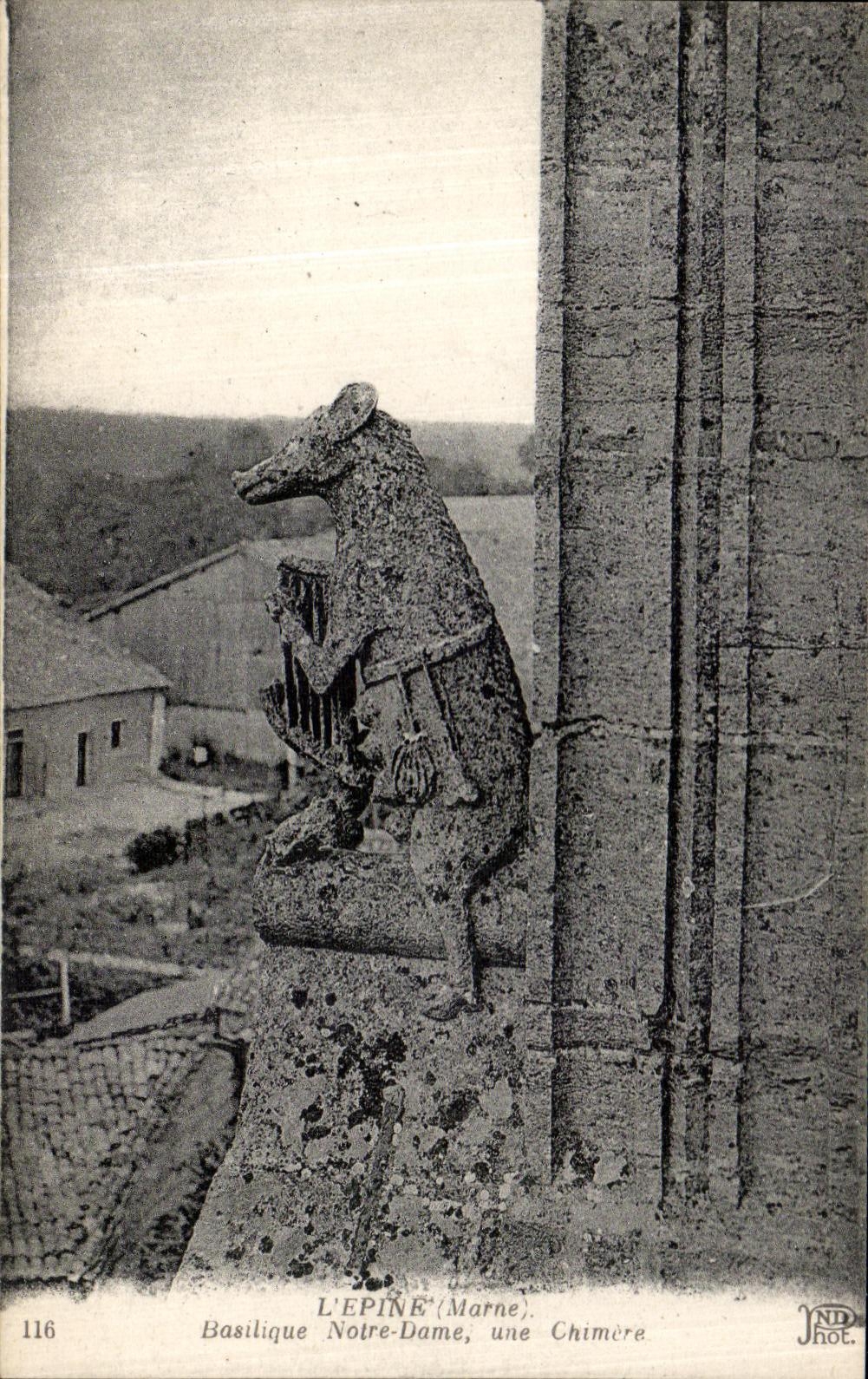 VINTAGE POSTCARD L Spine Notre Dame Basilica a Dream