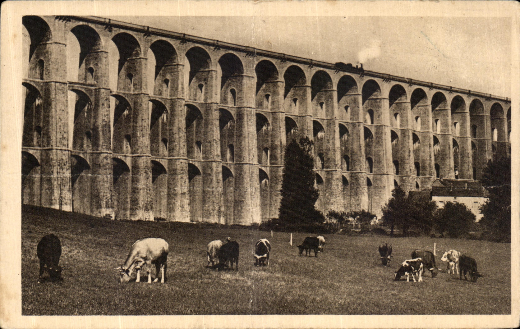 VINTAGE POSTCARD Chaumont the Viaduct Cows