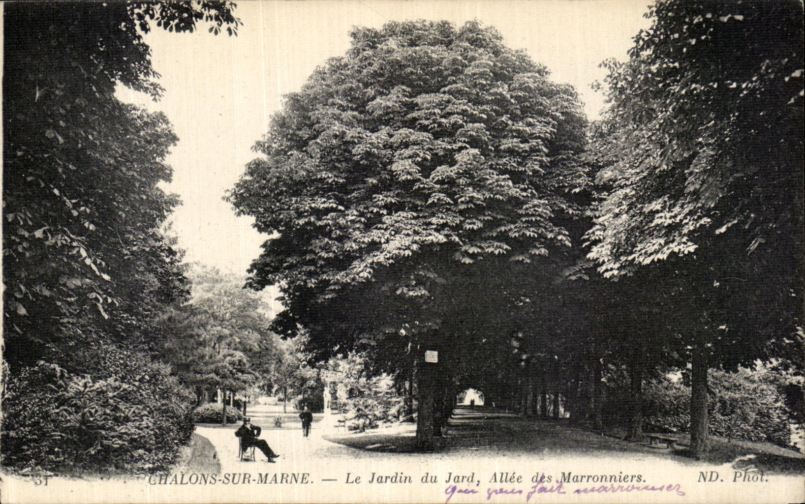 VINTAGE POSTCARD Trawl nets On the Marne the Garden of Jard Gone of the Chestnut trees