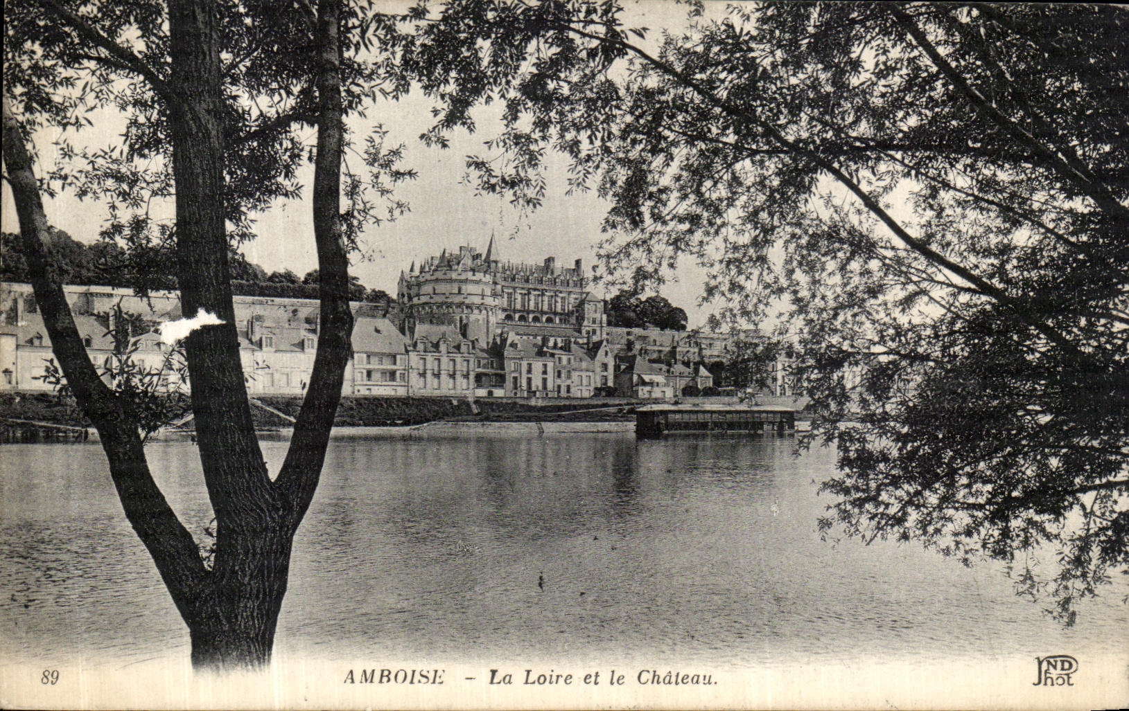 POSTAL Amboise Lorie de la VENDIMIA y el castillo