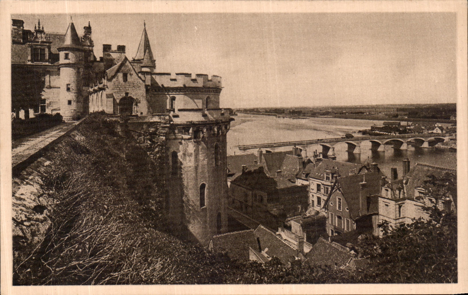 POSTAL Amboise de la VENDIMIA vista en el Loire y la terraza del castillo