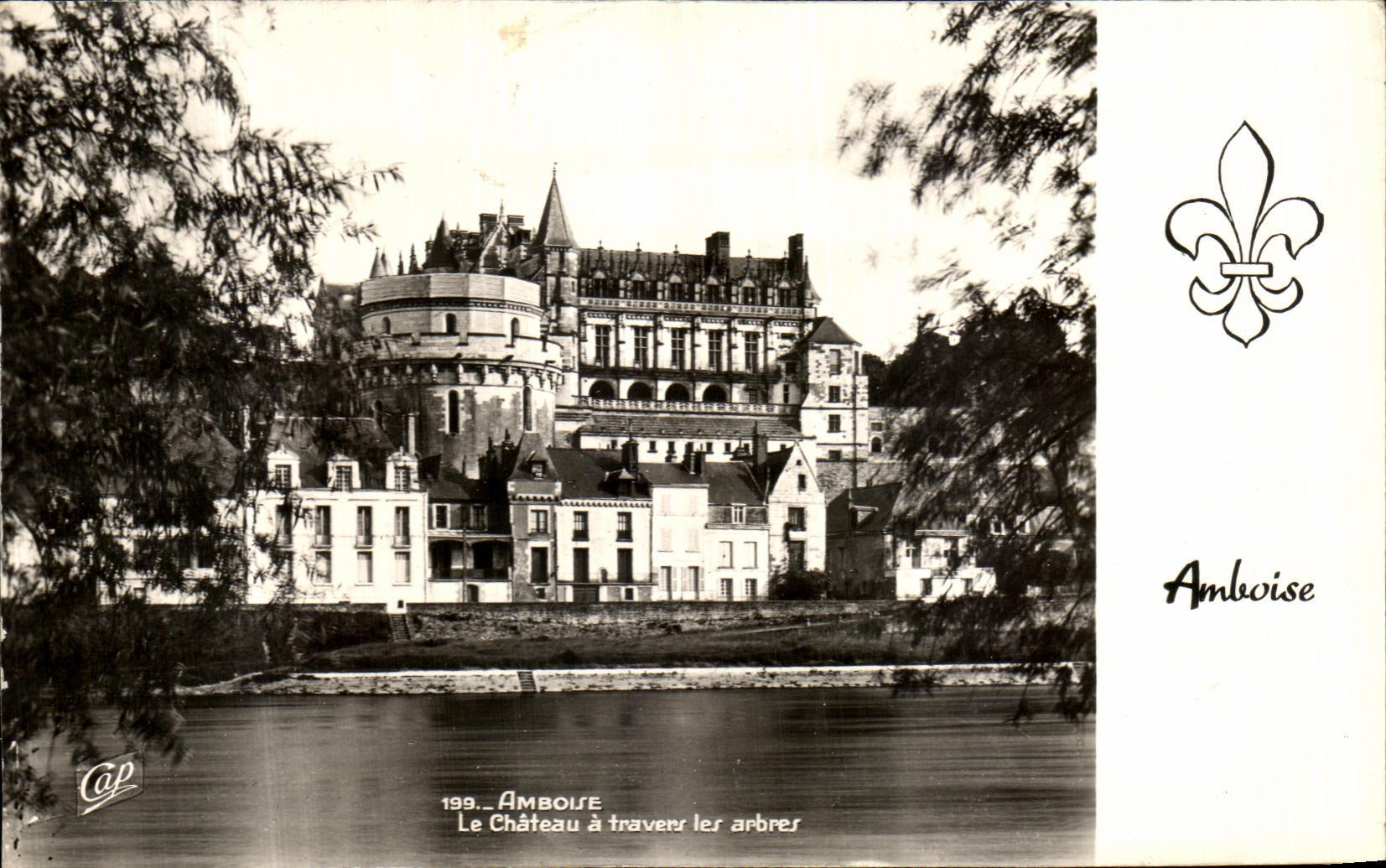 POSTAL Amboise de la VENDIMIA el castillo a traves de los arboles