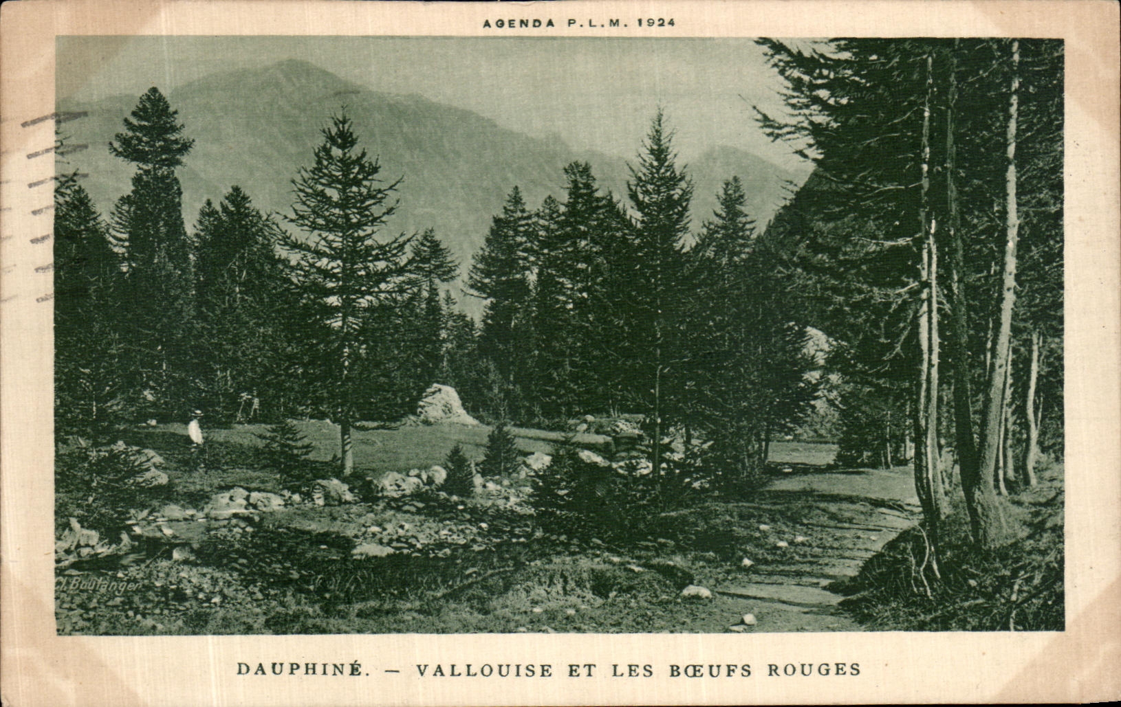 CPA Dauphine Vallouise Et Les Boeufs Rouges