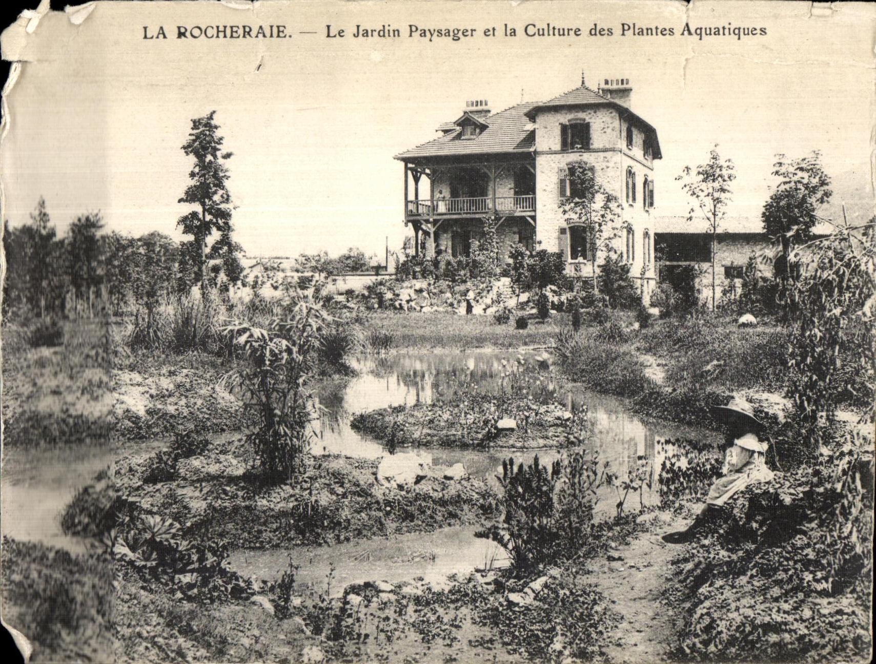 CPA La Rocheraie Le Jardin Paysager et la Culture des Plantes Aquatiques