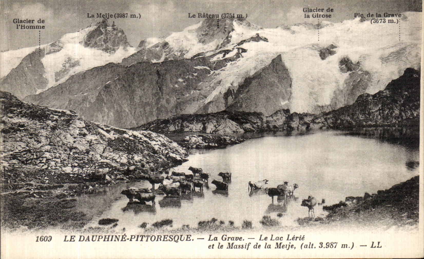 CPA Le Dauphine Pittoresque La Grave Le Lac Lerie et le massif de la Meije Vaches