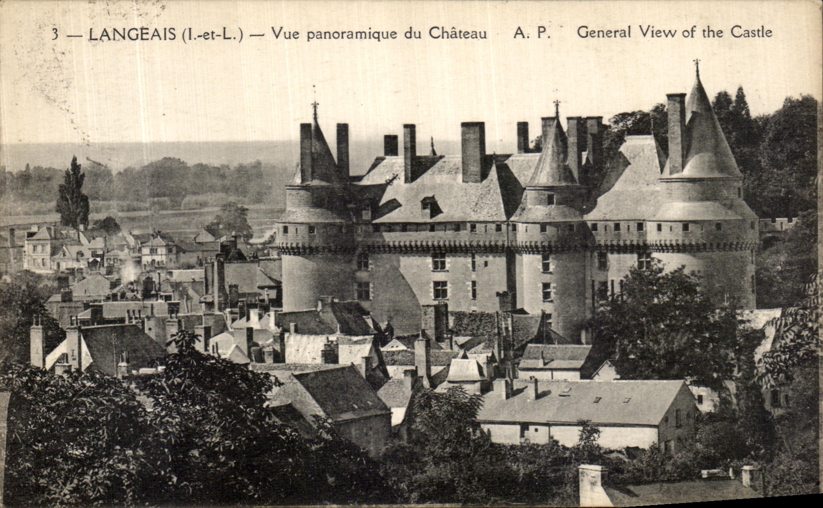 CPA Langeais Vue Panoramique du Chateau 