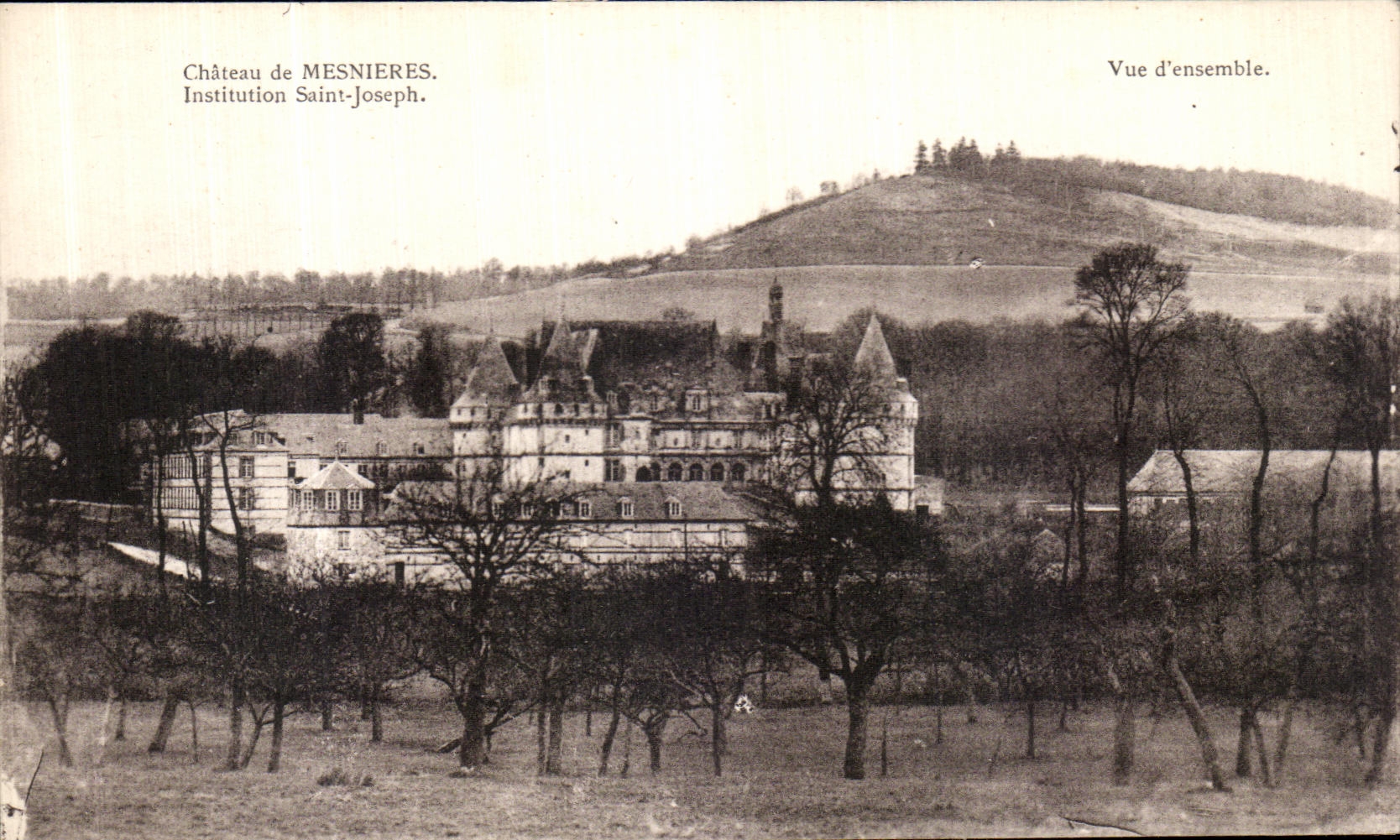 Castillo de la POSTAL de la VENDIMIA de la institucion Jose Saint D vista de Mesnieres junto