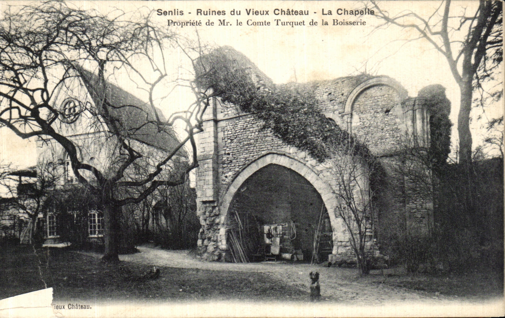 VINTAGE POSTCARD Senlis Ruins of the old Castle the vault Mr  the count Turquet of the Woodwork