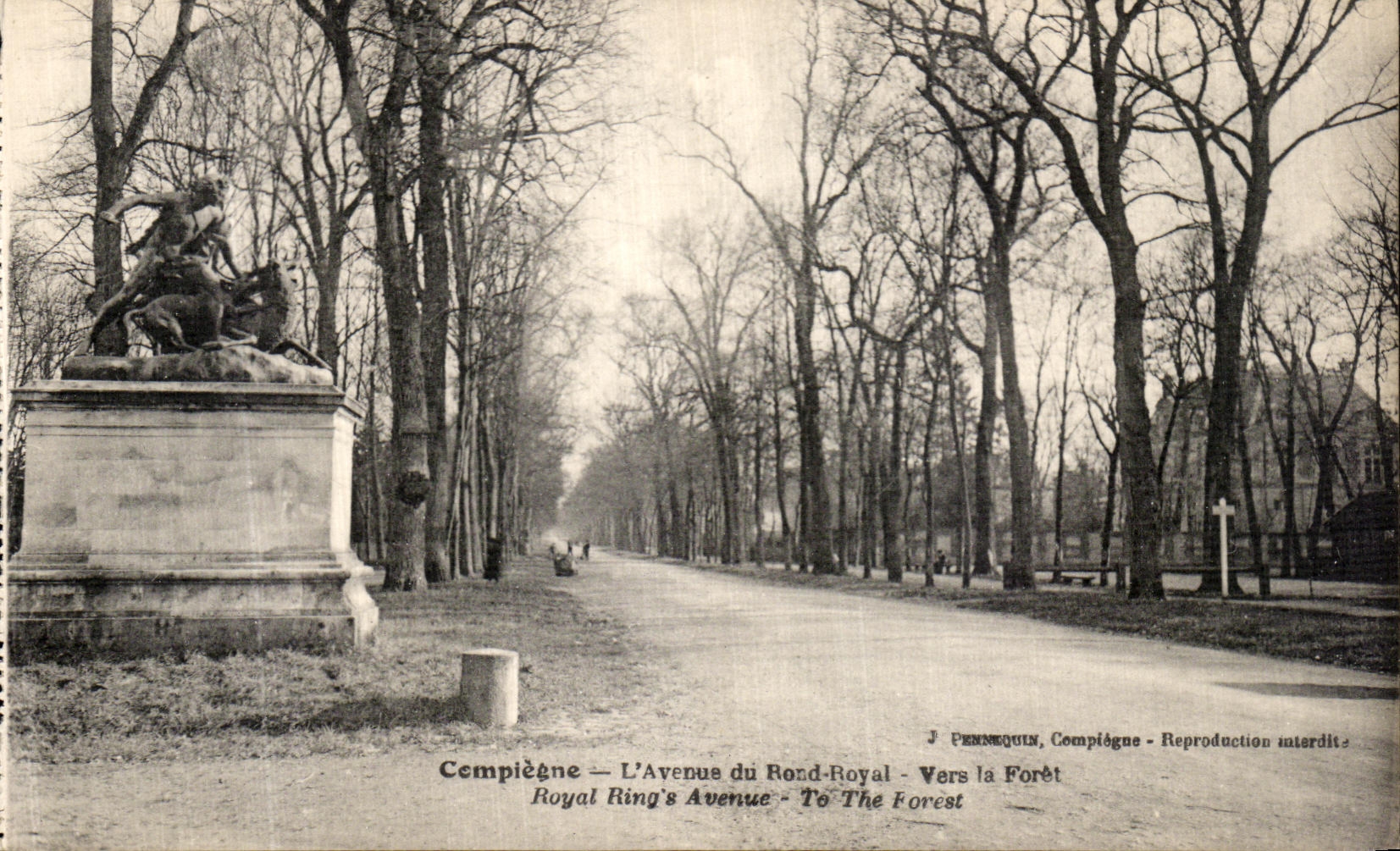 VINTAGE POSTCARD Compiegne L Avenue of the Royal Jump Towards the Drill