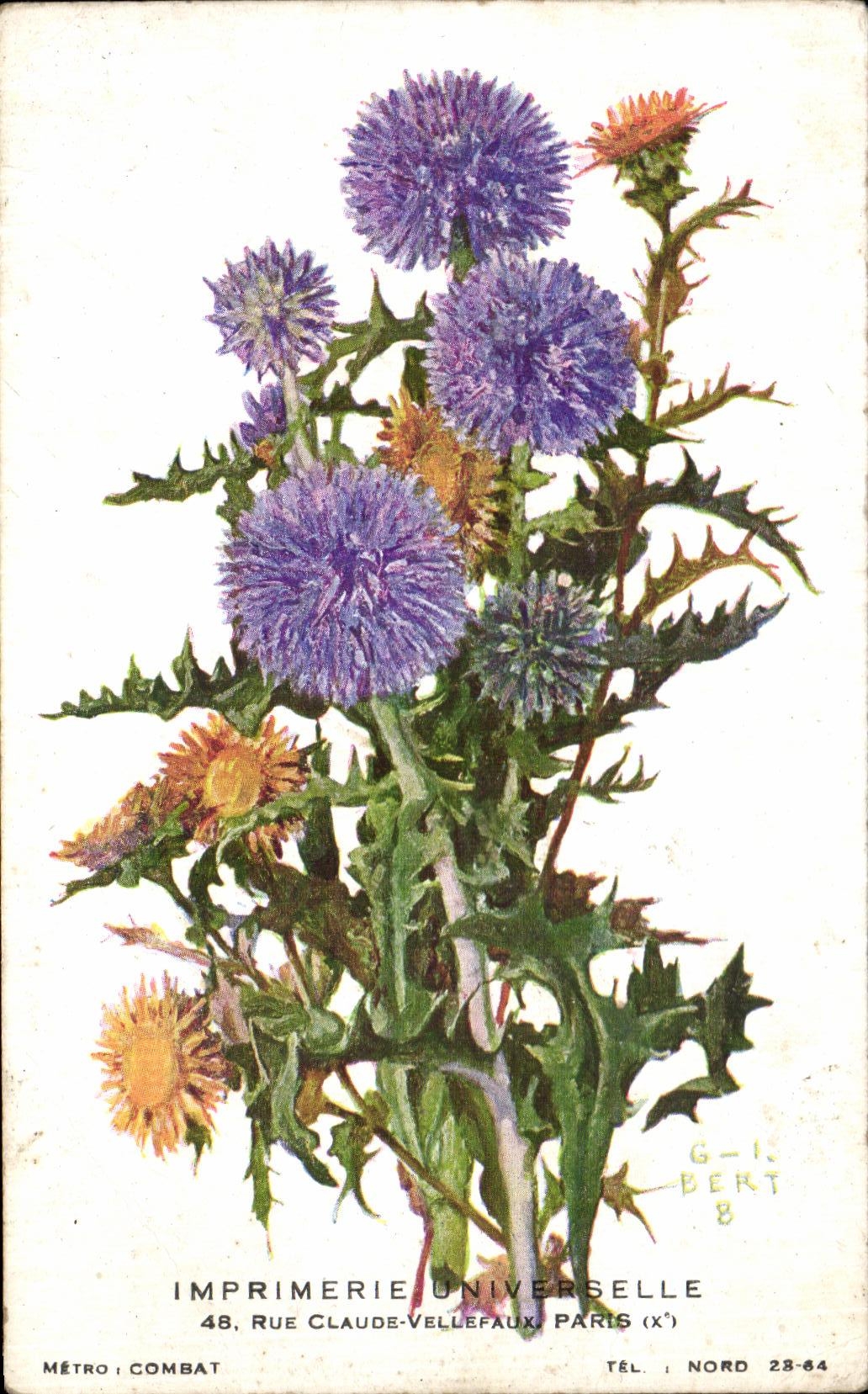 La POSTAL de la VENDIMIA florece cardos