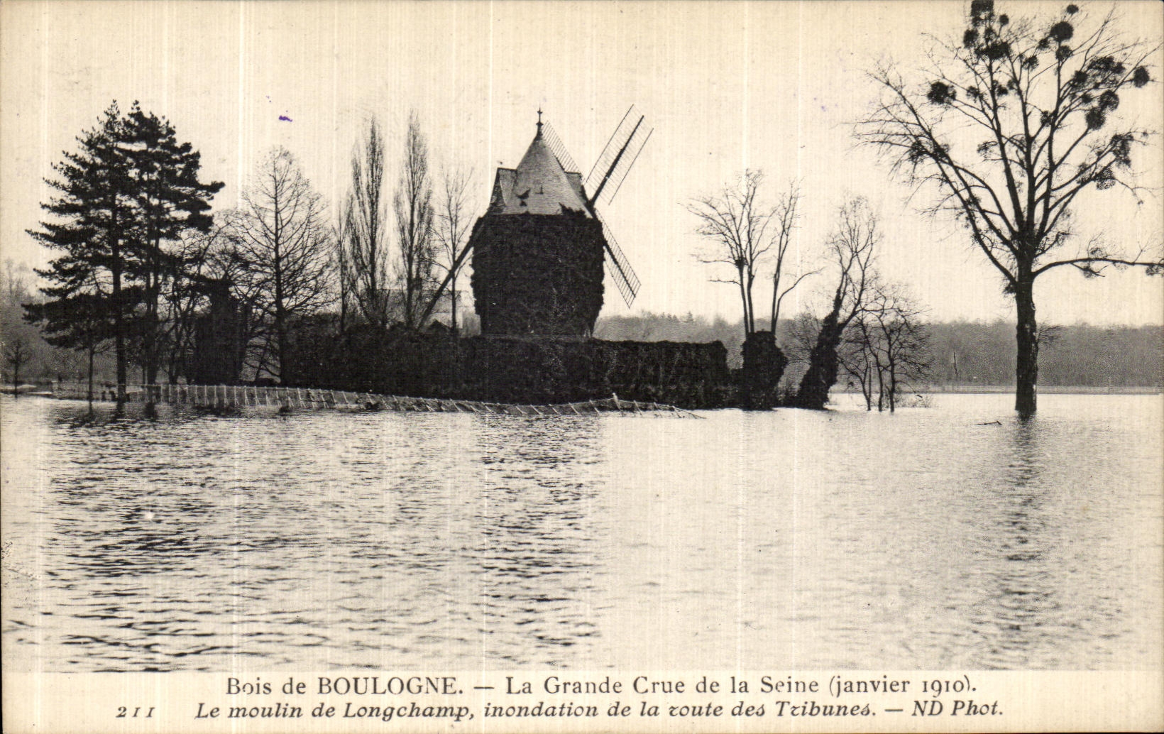 CPA Bois de Boulogne La Grande Crue de la Seine Janvier 1910 Moulin de Longchamp