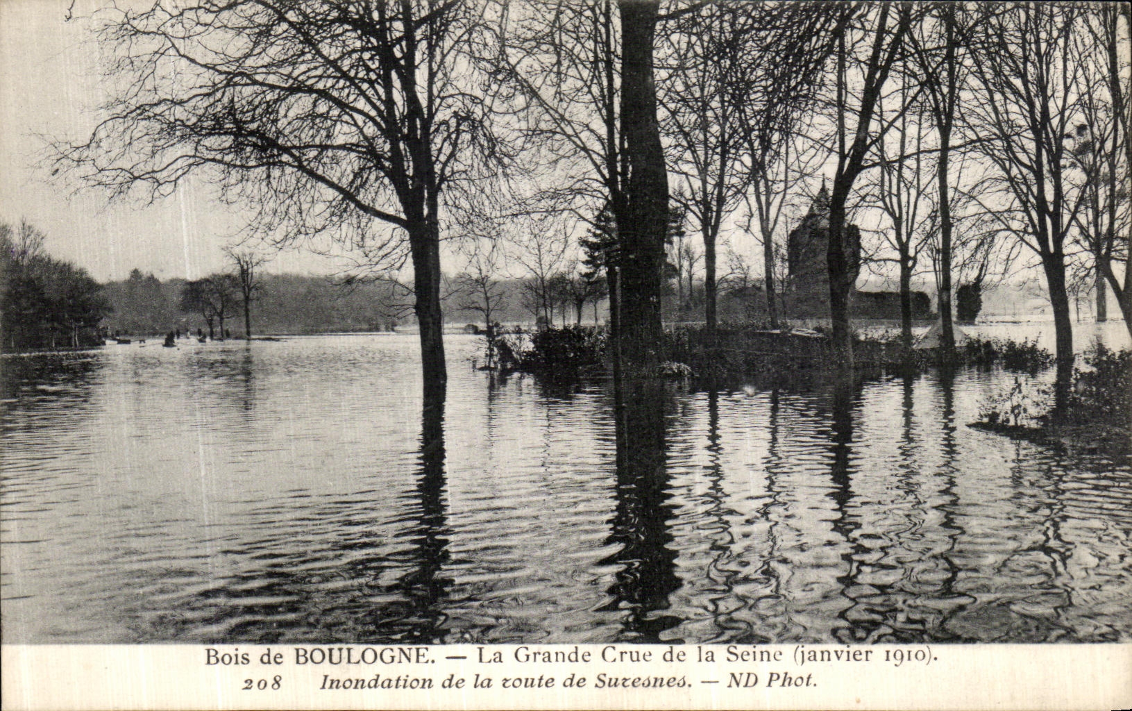CPA Bois de Boulogne La Grande crue de la seine Janvier 1910