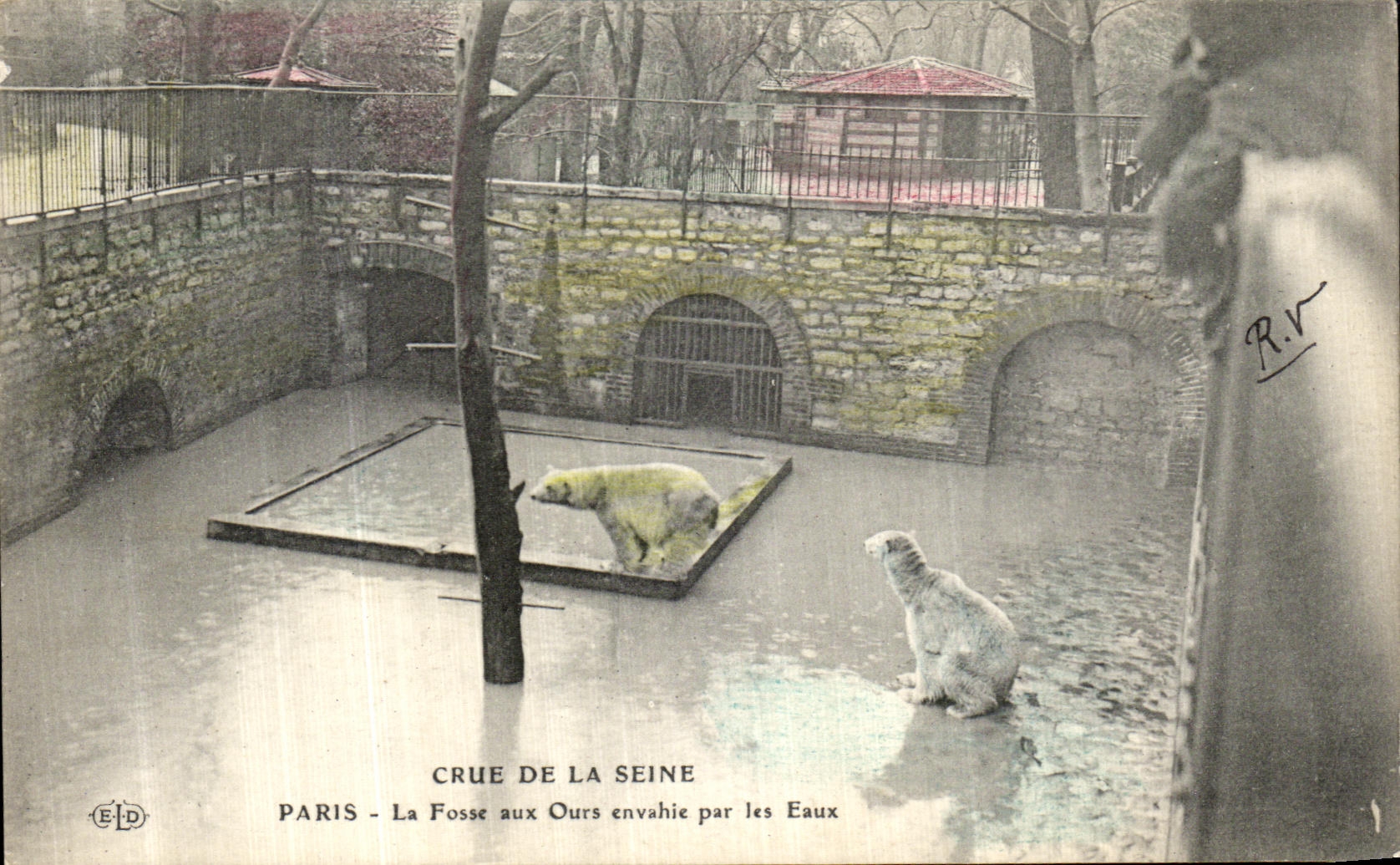VINTAGE POSTCARD Believed Of the Seine Paris the Bear pit Envable By Water