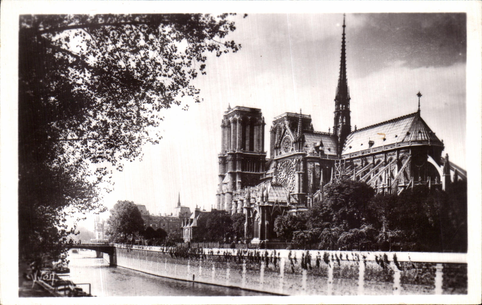 POSTAL Paris Notre Dame de la VENDIMIA y el jardin público del palacio de L arzobispo