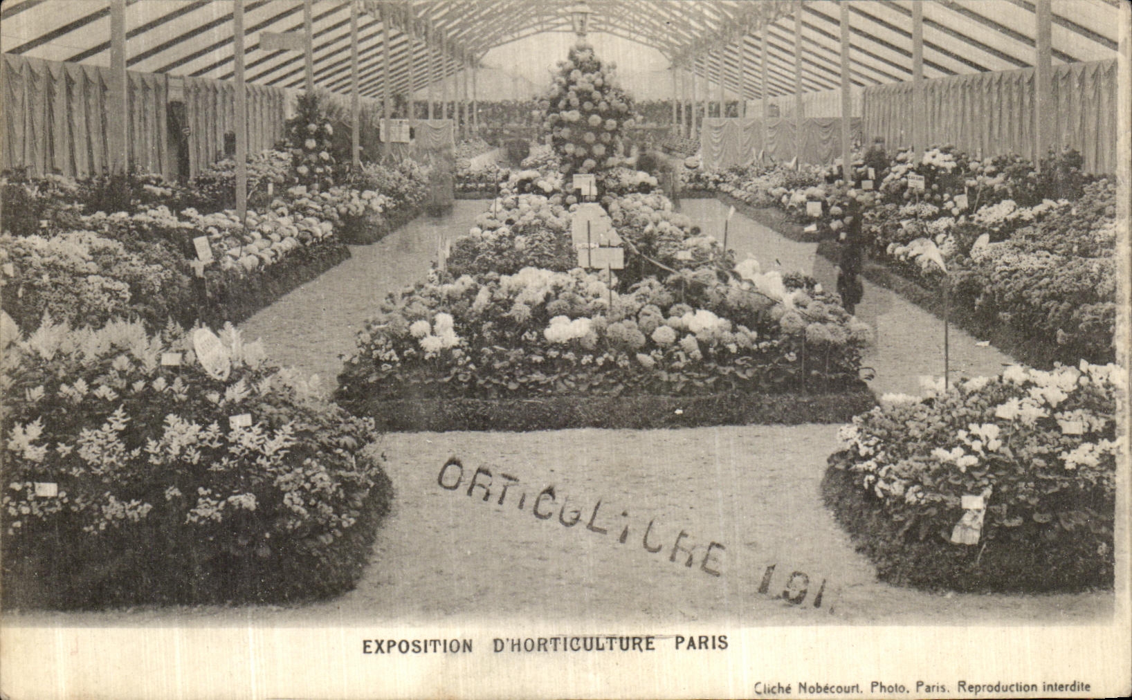 CPA Exposition D Horticulture Paris Fleurs