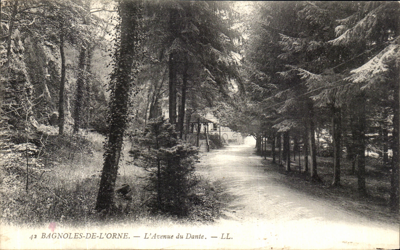 CPA Bagnoles de l Orne L Avenue du Dante