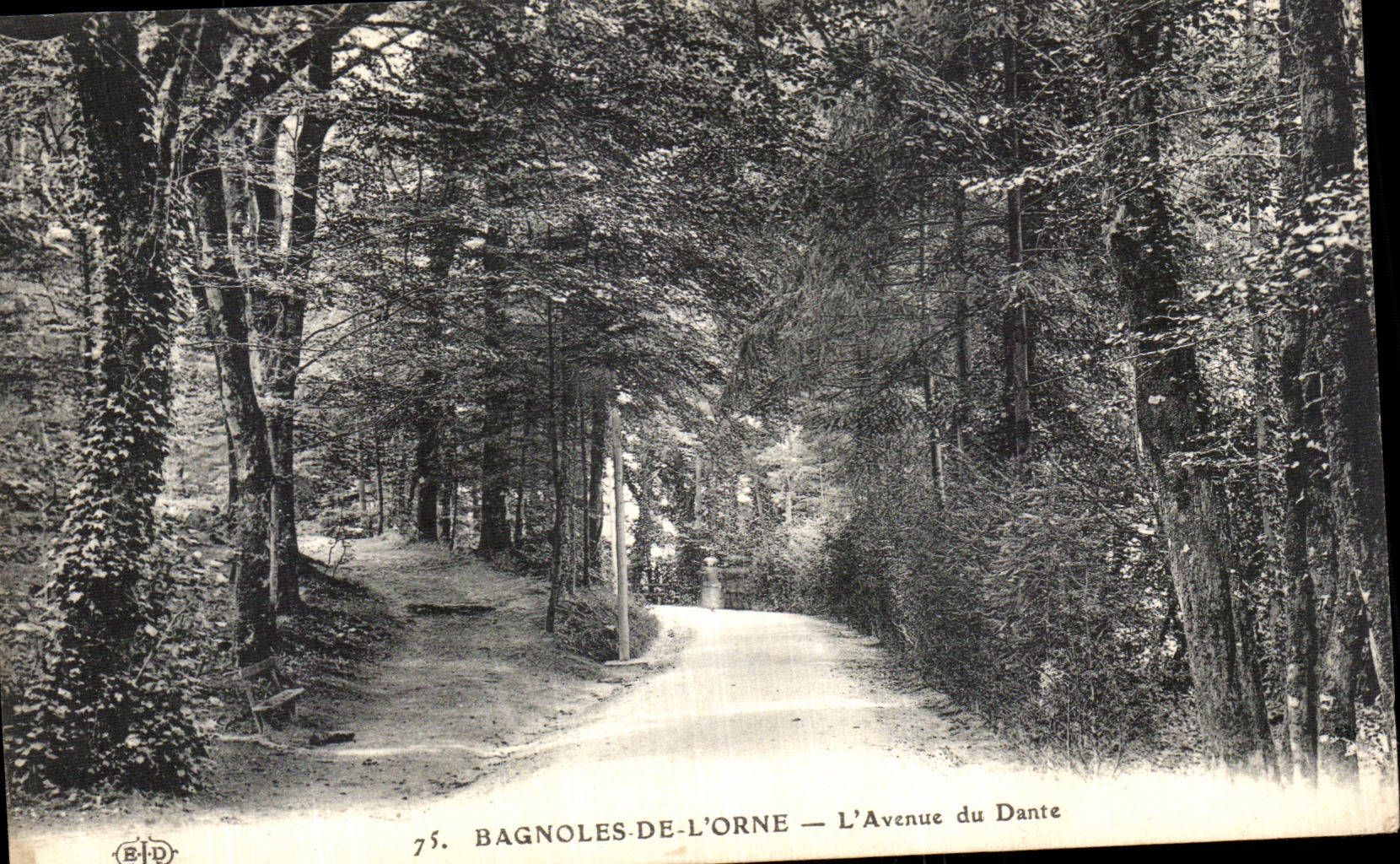CPA Bagnoles de l Orne L Avenue du Dante