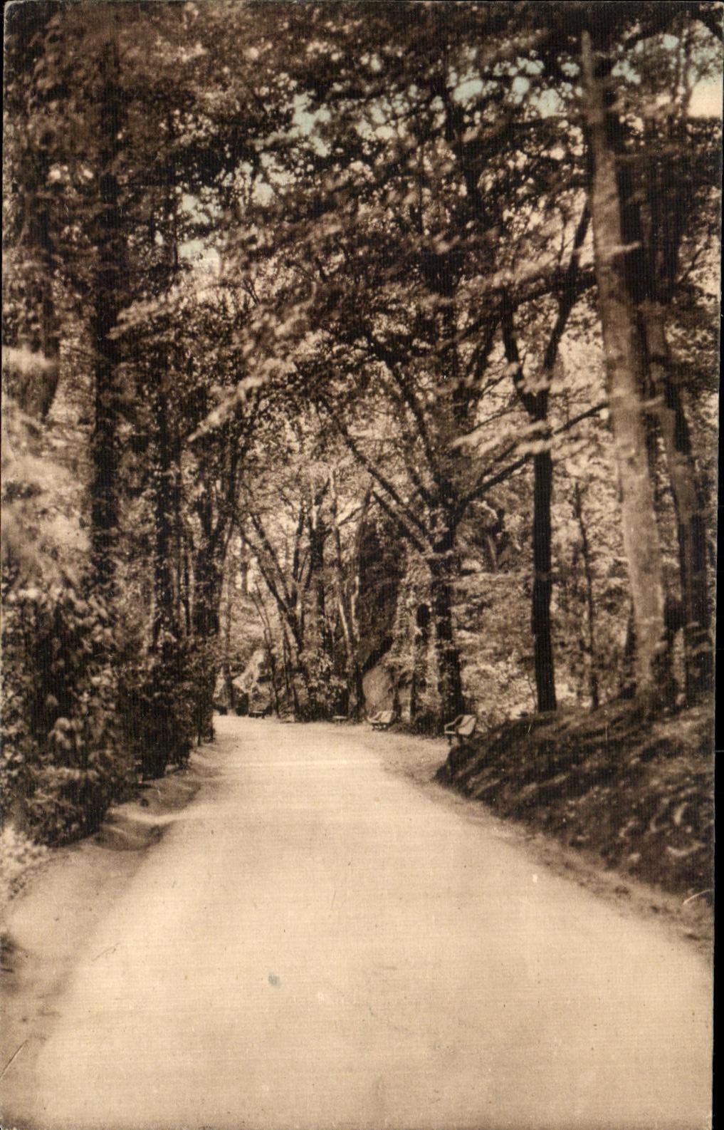 CPA Station thermale de Bagnoles de l Orne L Allee de Dante