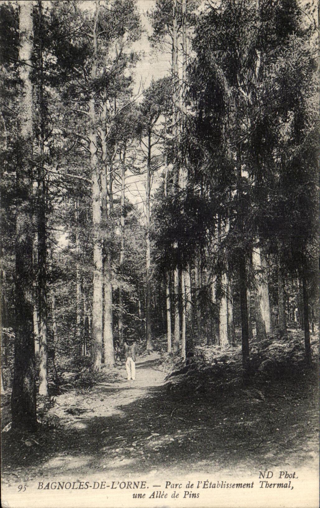 CPA Bagnoles De L Orne Parc de L Etablissement Thermal Une allee de pins