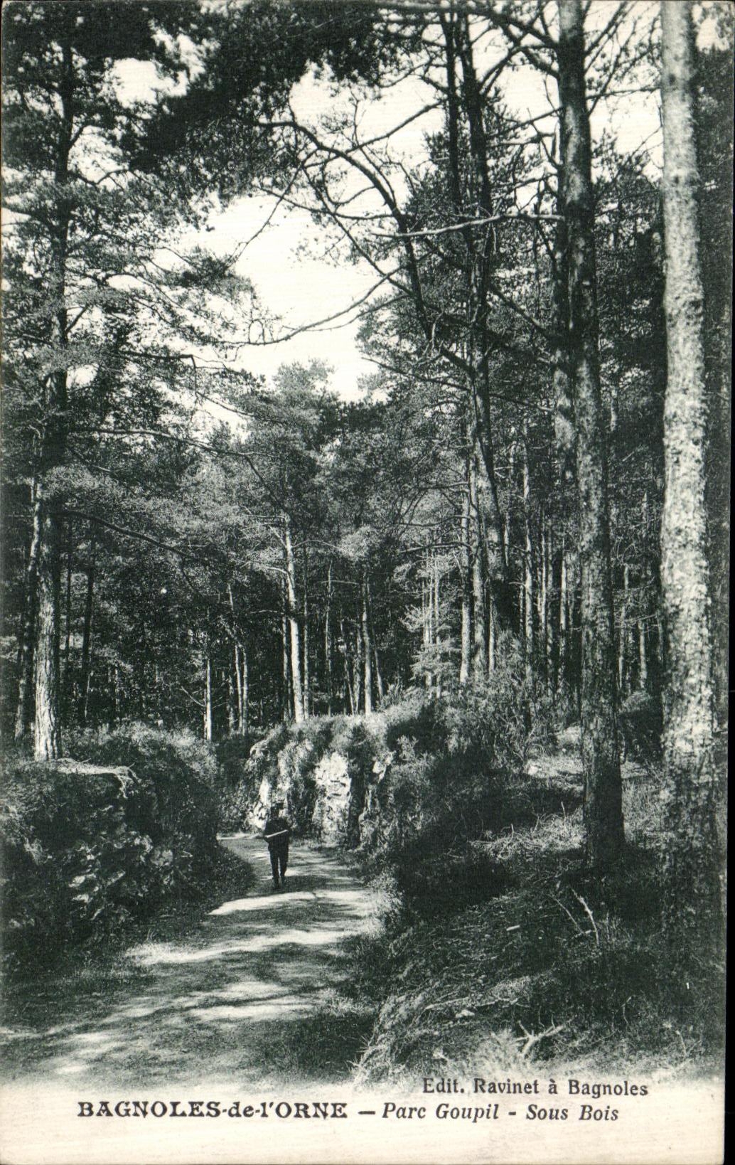 CPA Bagnoles De L Orne Parc Goupil Sous Bois