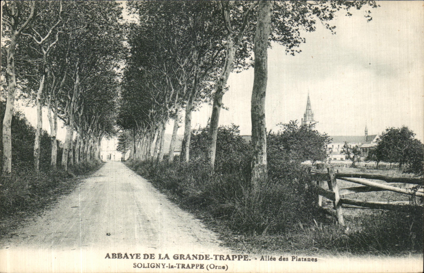 CPA Abbaye De La Grande Trappe Soligny la Trappe Allee des platanes