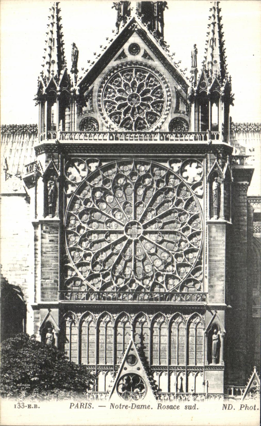 Roseton meridional de Paris Notre Dame de la POSTAL de la VENDIMIA