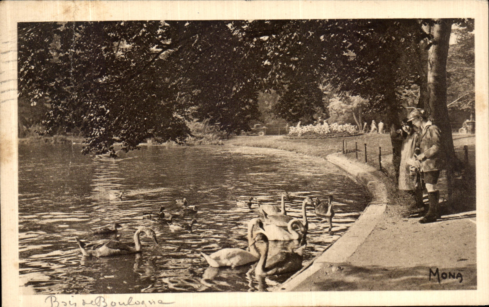 VINTAGE POSTCARD Paris With the wood of Boulogne Swans on the lower lake Swans