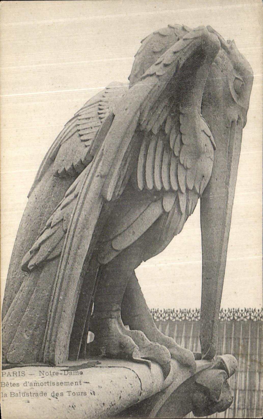 Animales el humedecer de D de Paris Notre Dame de la POSTAL de la VENDIMIA y barandillas de las vueltas